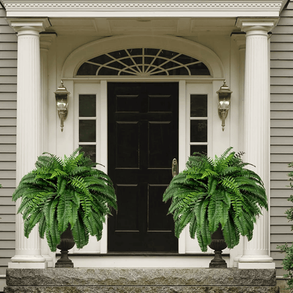 Last Day 75% OFF | UV Resistant Lifelike Artificial Boston Fern