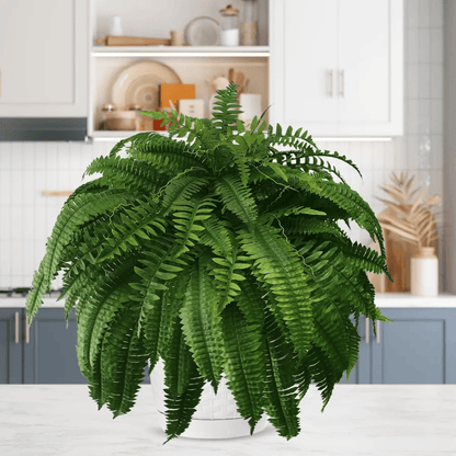 Last Day 75% OFF | UV Resistant Lifelike Artificial Boston Fern