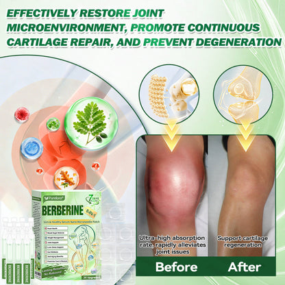𝐏𝐮𝐫𝐞𝐥𝐨𝐫𝐚® 𝐁𝐞𝐫𝐛𝐞𝐫𝐢𝐧𝐞 𝟖-𝐈𝐍-𝟏 𝐒𝐥𝐢𝐦 & 𝐇𝐞𝐚𝐥𝐭𝐡𝐲 𝐒𝐞𝐫𝐮𝐦 𝐍𝐚𝐧𝐨 𝐌𝐢𝐜𝐫𝐨𝐧𝐞𝐞𝐝𝐥𝐞 𝐏𝐚𝐭𝐜𝐡 (𝐎𝐧𝐜𝐞 𝐃𝐚𝐢𝐥𝐲, 𝐯𝐢𝐬𝐢𝐛𝐥𝐞 𝐜𝐡𝐚𝐧𝐠𝐞𝐬 𝐢𝐧 𝟕 𝐝𝐚𝐲𝐬）✅ 𝐎𝐛𝐞𝐬𝐢𝐭𝐲, 𝐃𝐢𝐚𝐛𝐞𝐭𝐞𝐬, 𝐒𝐥𝐞𝐞𝐩 𝐀𝐩𝐧𝐞𝐚, 𝐀𝐧𝐝 𝐉𝐨𝐢𝐧𝐭 𝐈𝐬𝐬𝐮𝐞𝐬