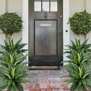Last Day 75% OFF | UV Resistant Lifelike Artificial Boston Fern