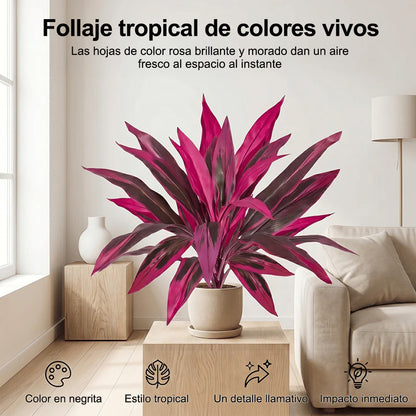 🎁 Dernier jour : -60 % sur les fougères de Boston et les dragonniers artificiels