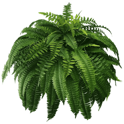 Last Day 75% OFF | UV Resistant Lifelike Artificial Boston Fern